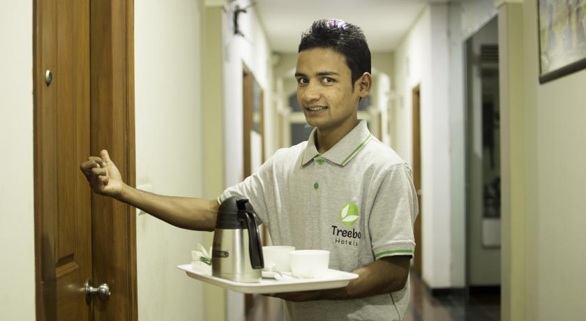 Hotel Treebo Palm Tree Palam Vihar Gurgaon Zewnętrze zdjęcie